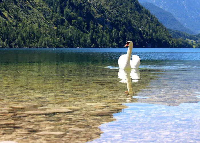 Boutiquehotel Hubertushof Otel 4*