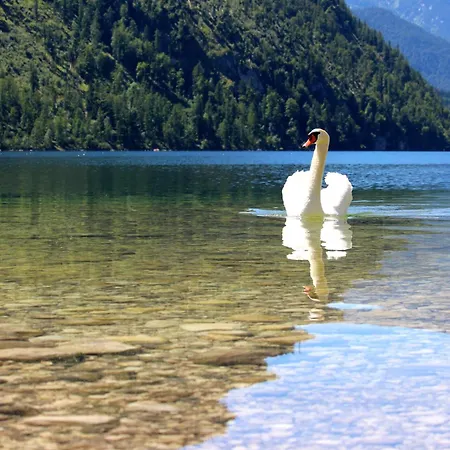 Boutiquehotel Hubertushof Hotel 4*